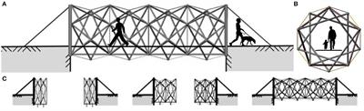 Deployment and Shape Change of a Tensegrity Structure Using Path-Planning and Feedback Control